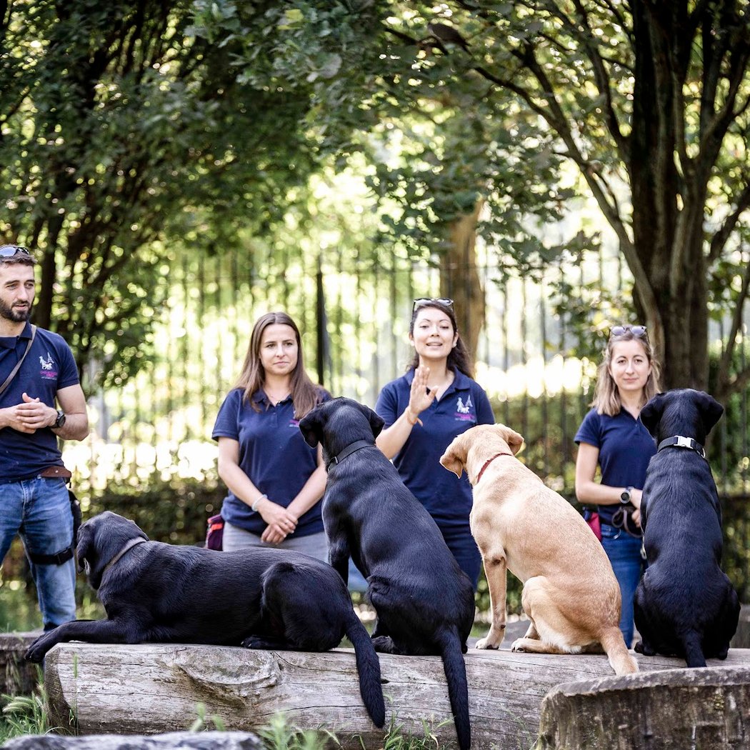 School Chiens Guides De Paris 2