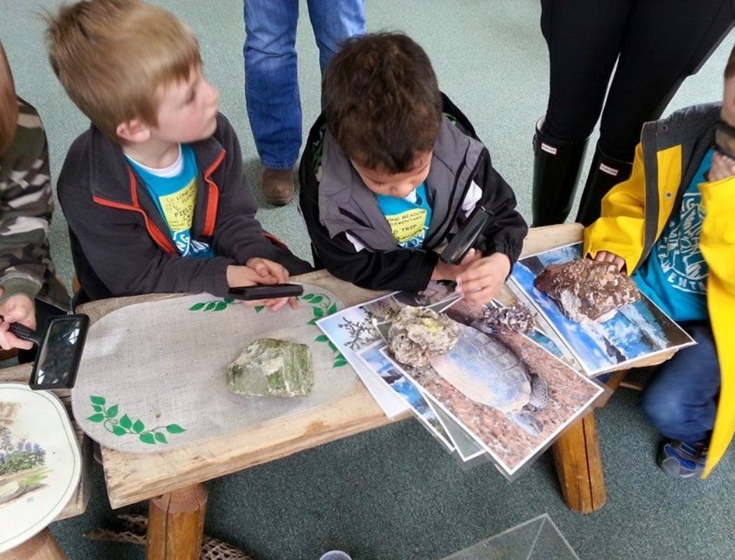 PREK Story & STEAM 1
