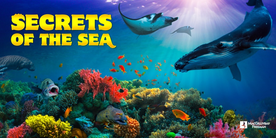 Secrets of the Sea 1