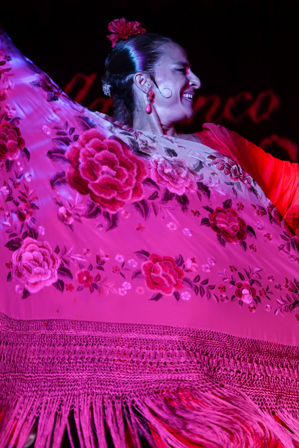 Tablao Flamenco Las Setas 2