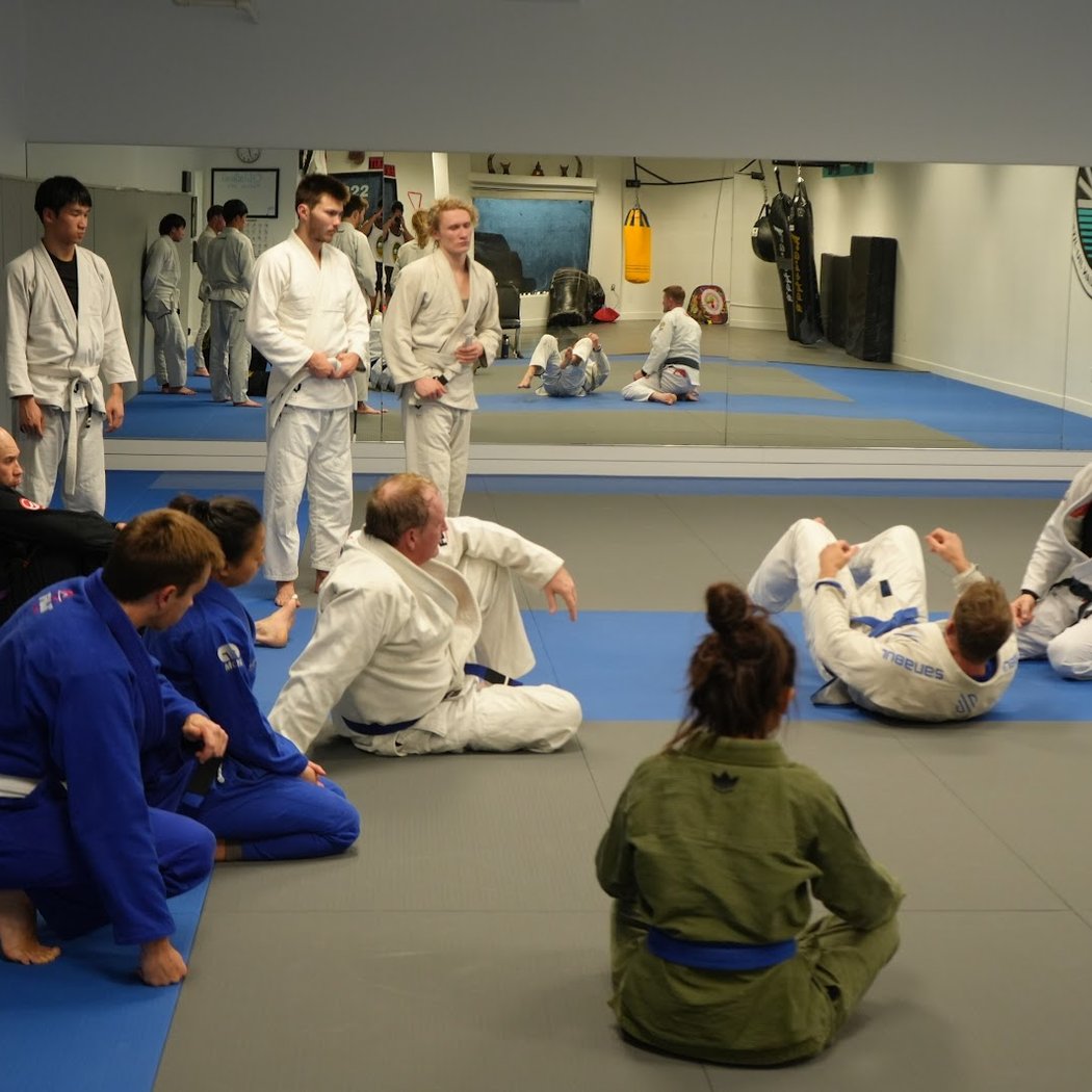 Adult Brazilian Jiu-Jitsu 1