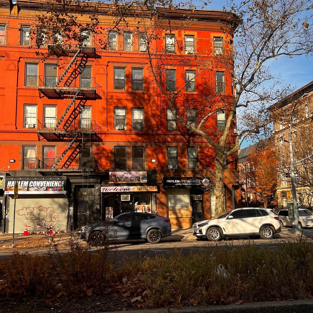HARLEM Arts Alliance 2