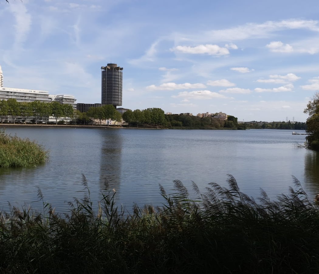 Balade ornithologique autour du lac de Créteil 3