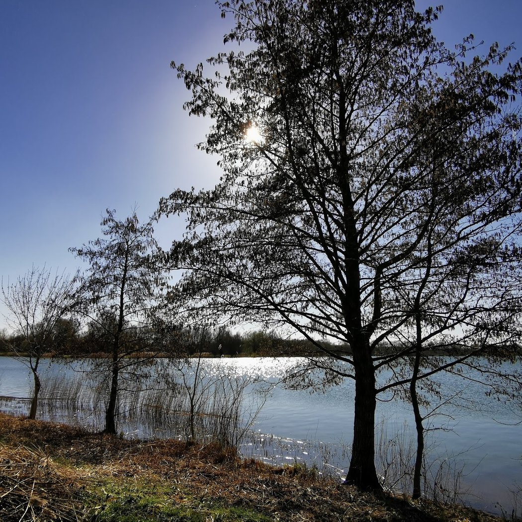 Lac de la Monnerie 3
