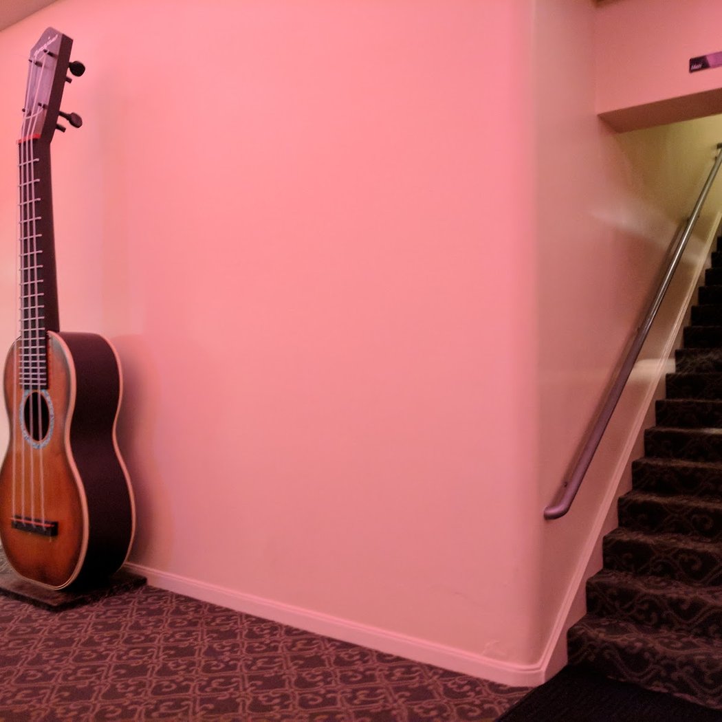 Jake Shimabukuro 3