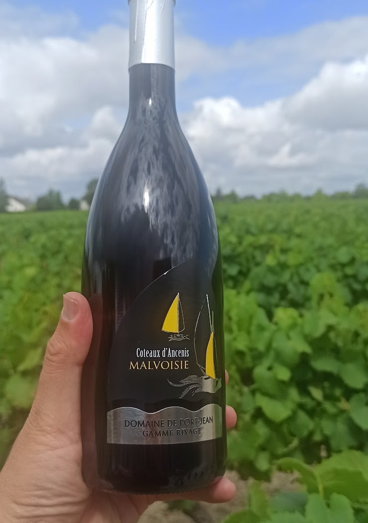 Domaine De Port Jean 3