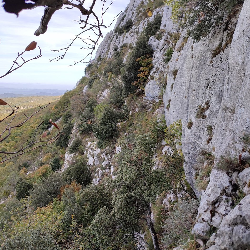 Plan-d'Aups-Sainte-Baume 1