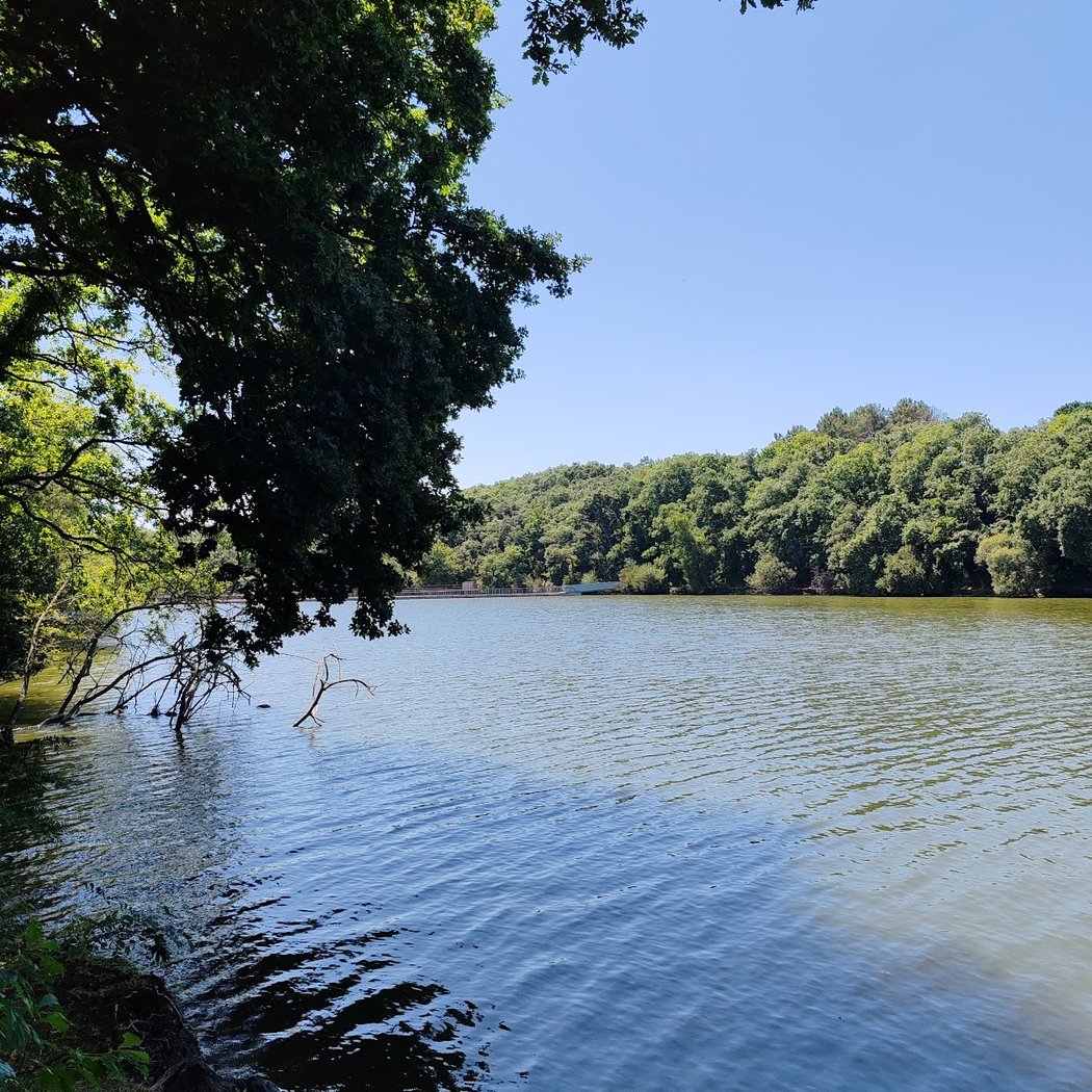 Sentier du marais de Fresnier 2