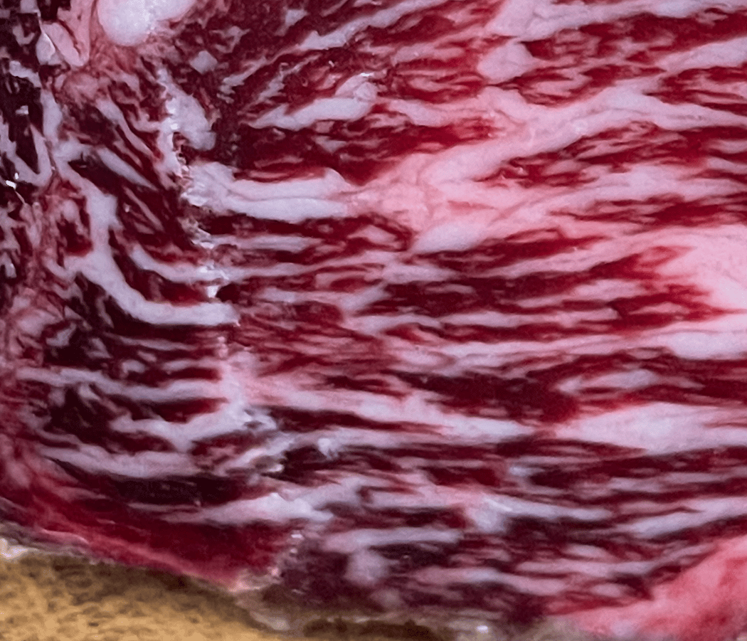 Aitana Produits Ibériques 2