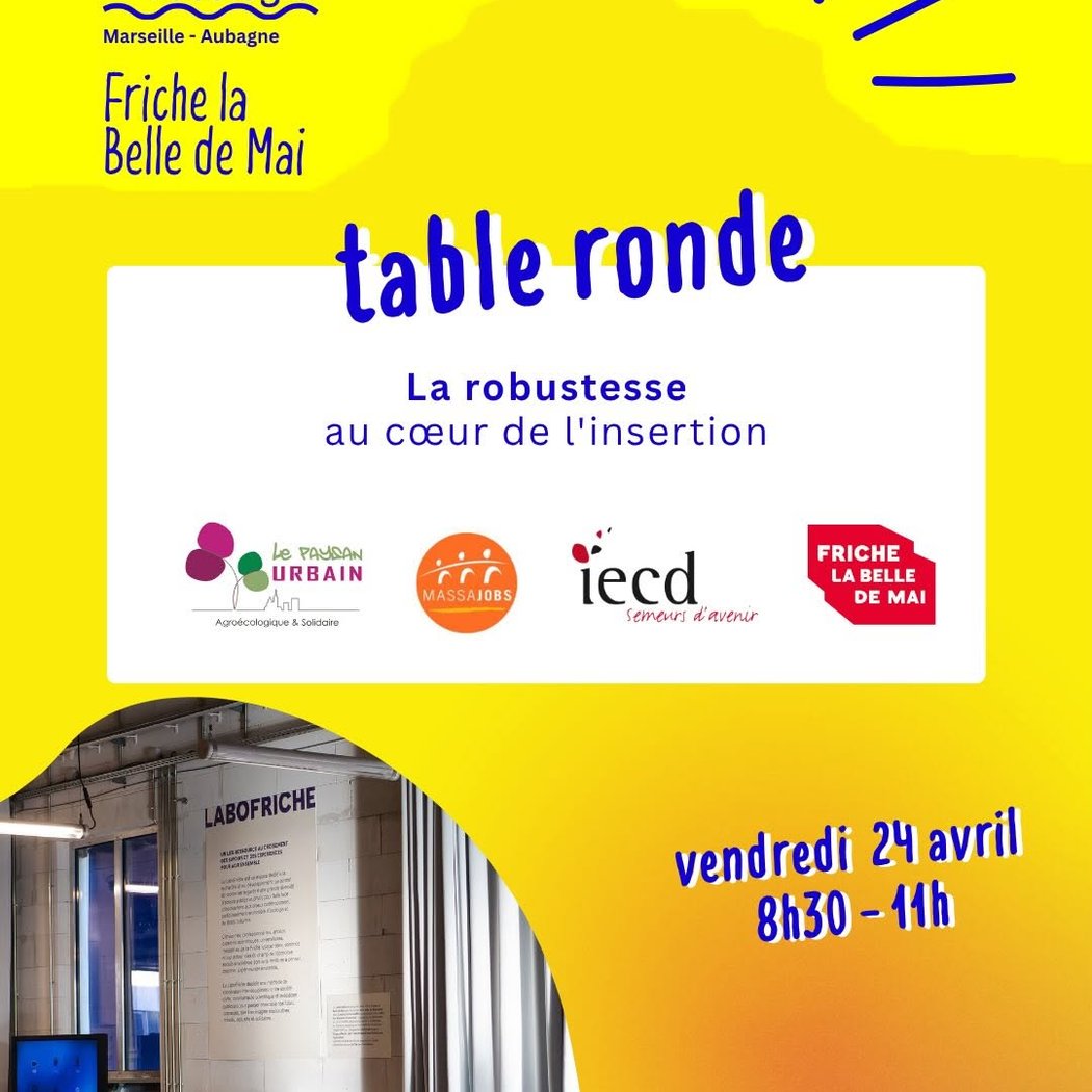 Table ronde La robustesse au cœur de l'insertion 1