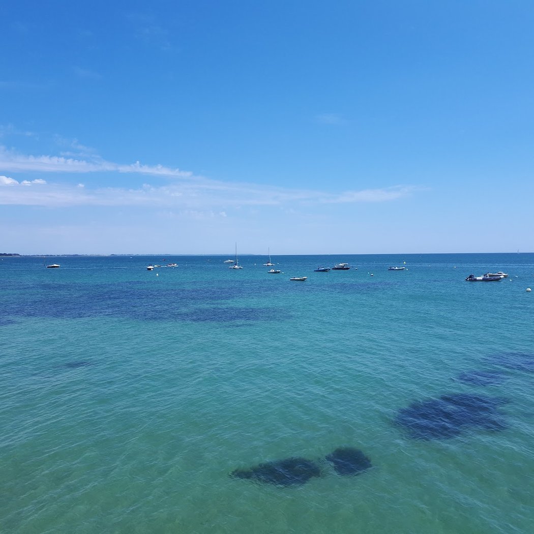 Nautic Sport Carnac Boat Rental École De Wing Foil, Catamaran, Dériveur, Bouée Tractée, Ski Nautique, Wakeboard 3