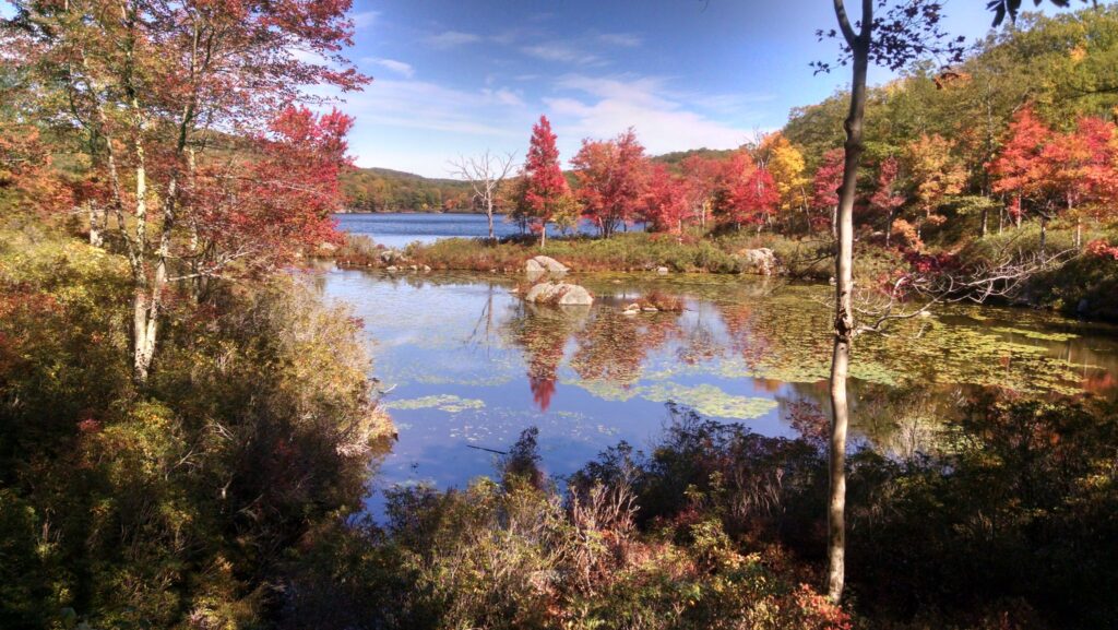 Harriman State Park 2
