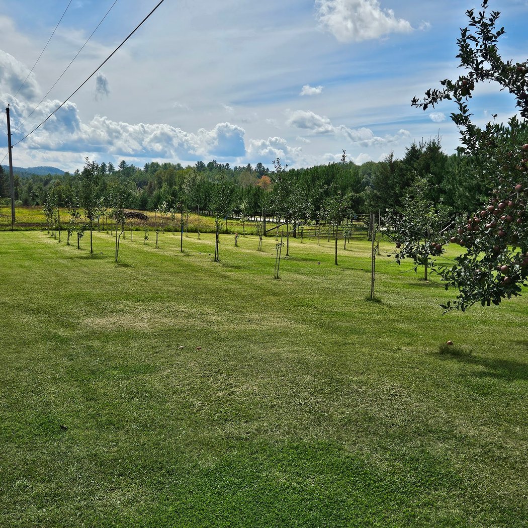 Verger Merleau - Cidery & Orchard 3