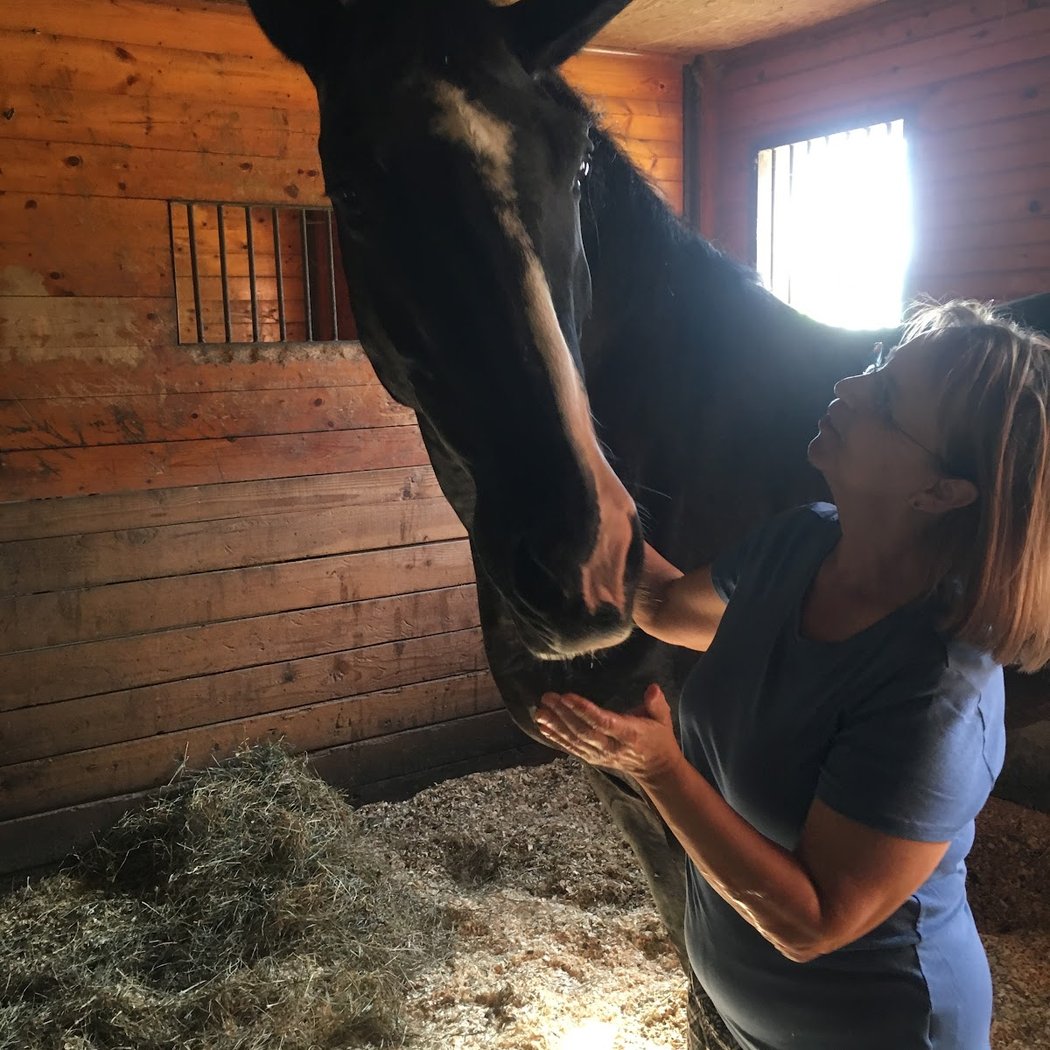 Riga Meadow Equestrian Center LLC 3