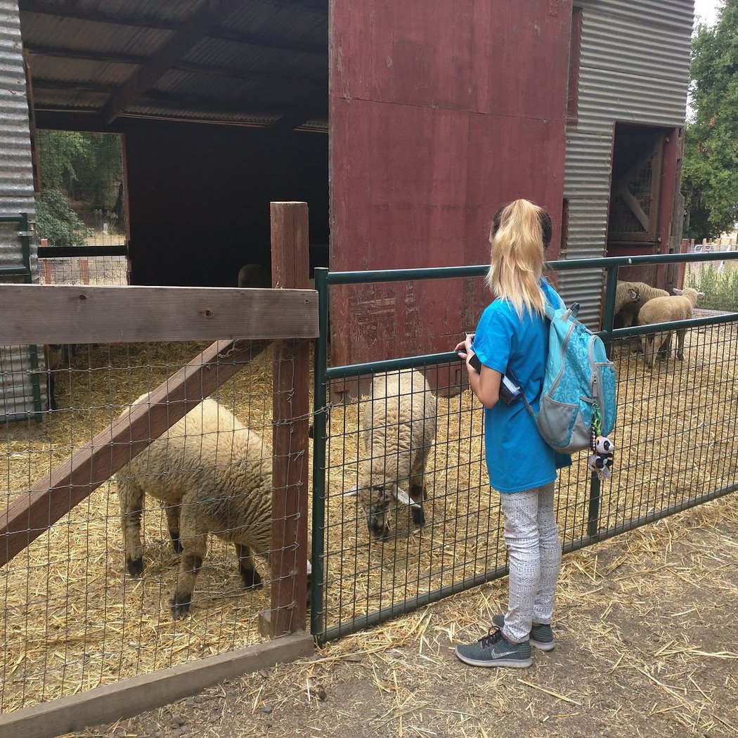 Weekend Farm Tour 1