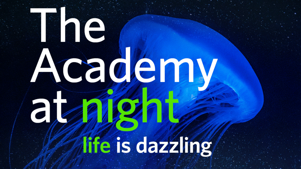 Nightlife at Cal Academy 1
