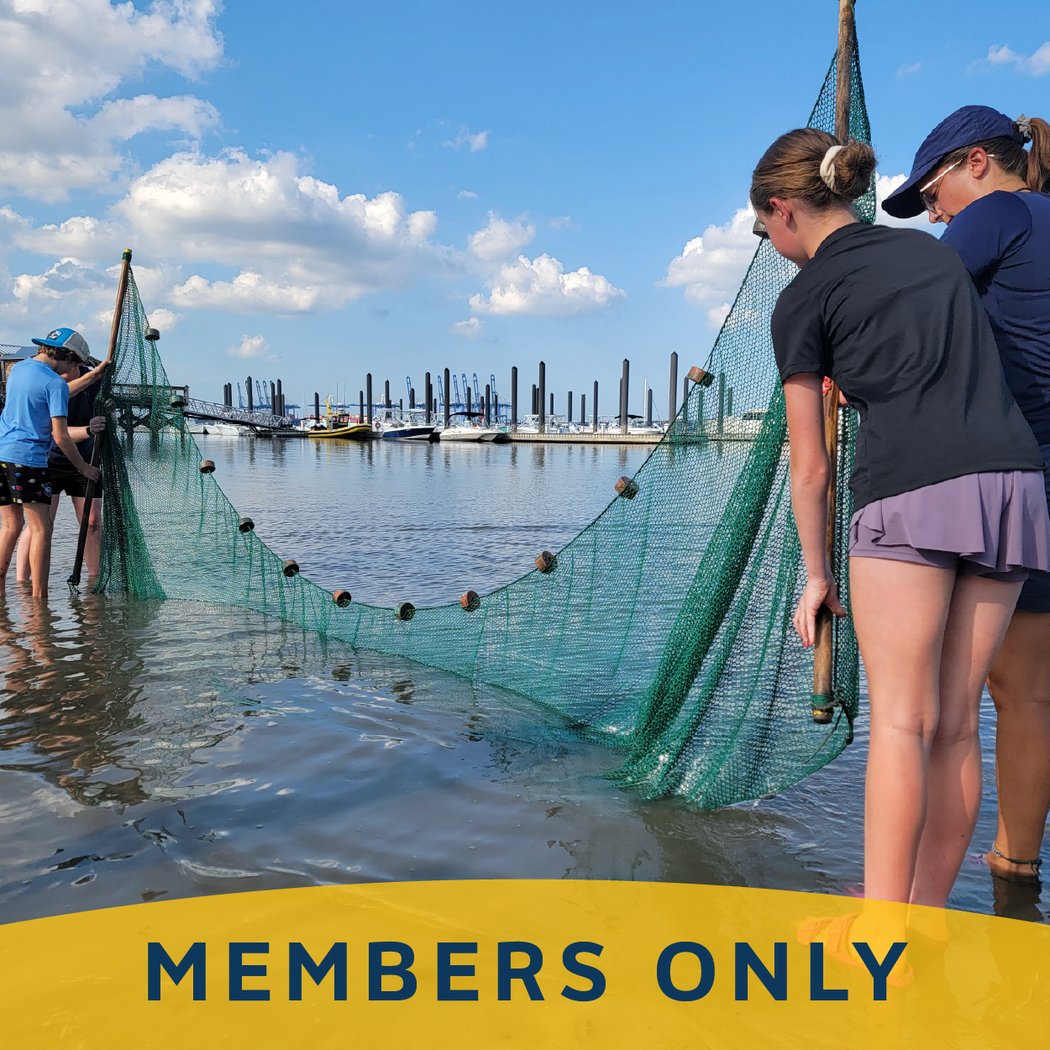 Member Seining 1