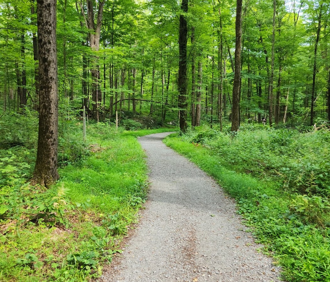 Roosevelt Farm Lane Trail 1