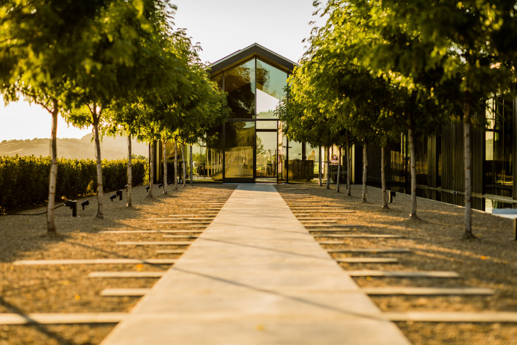 The Silver Oak Cellar Celebration 2
