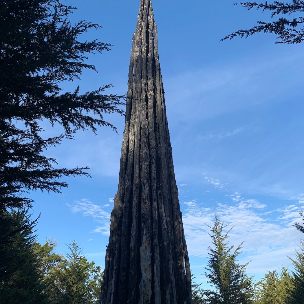 Spire by Andy Goldsworthy 3