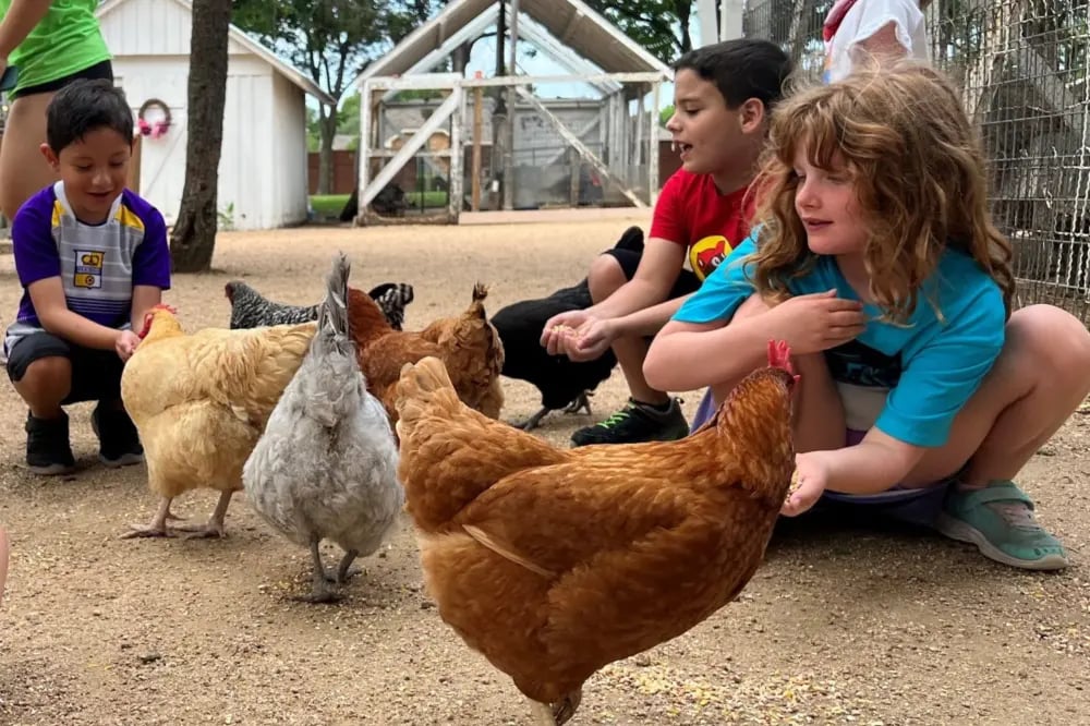 Heritage Farmstead Museum Volunteer Program 2