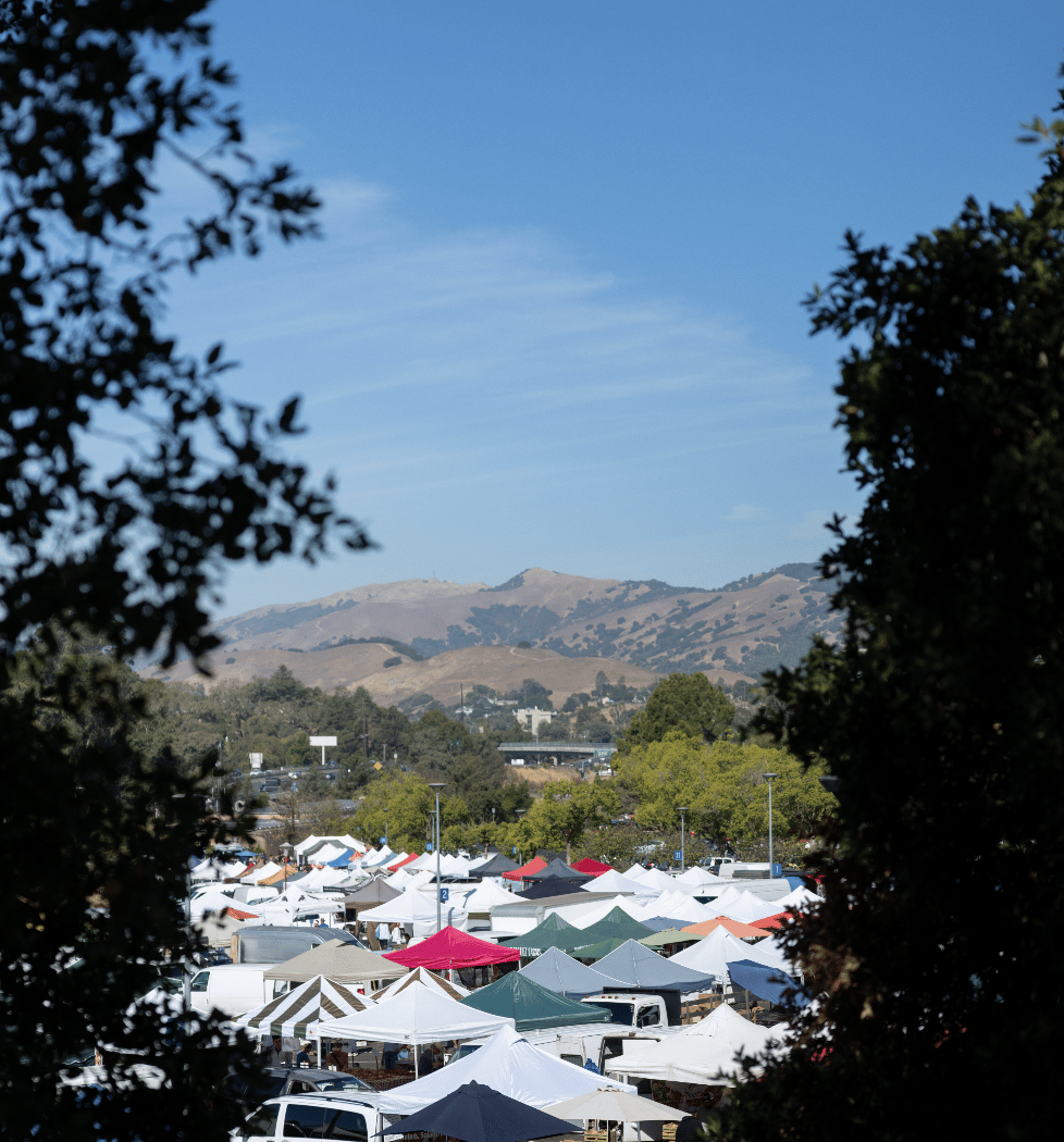 Sunday Marin Farmers Market 2
