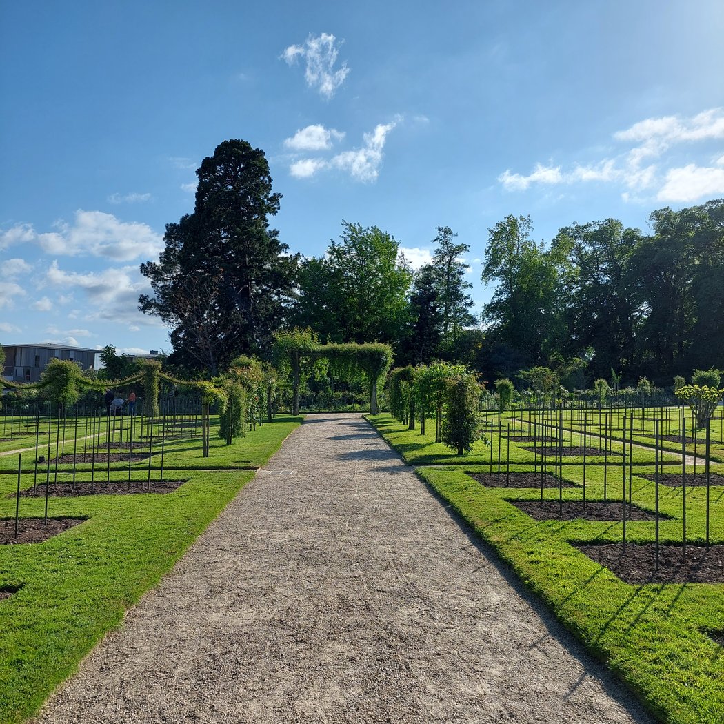Parc du Thabor 3