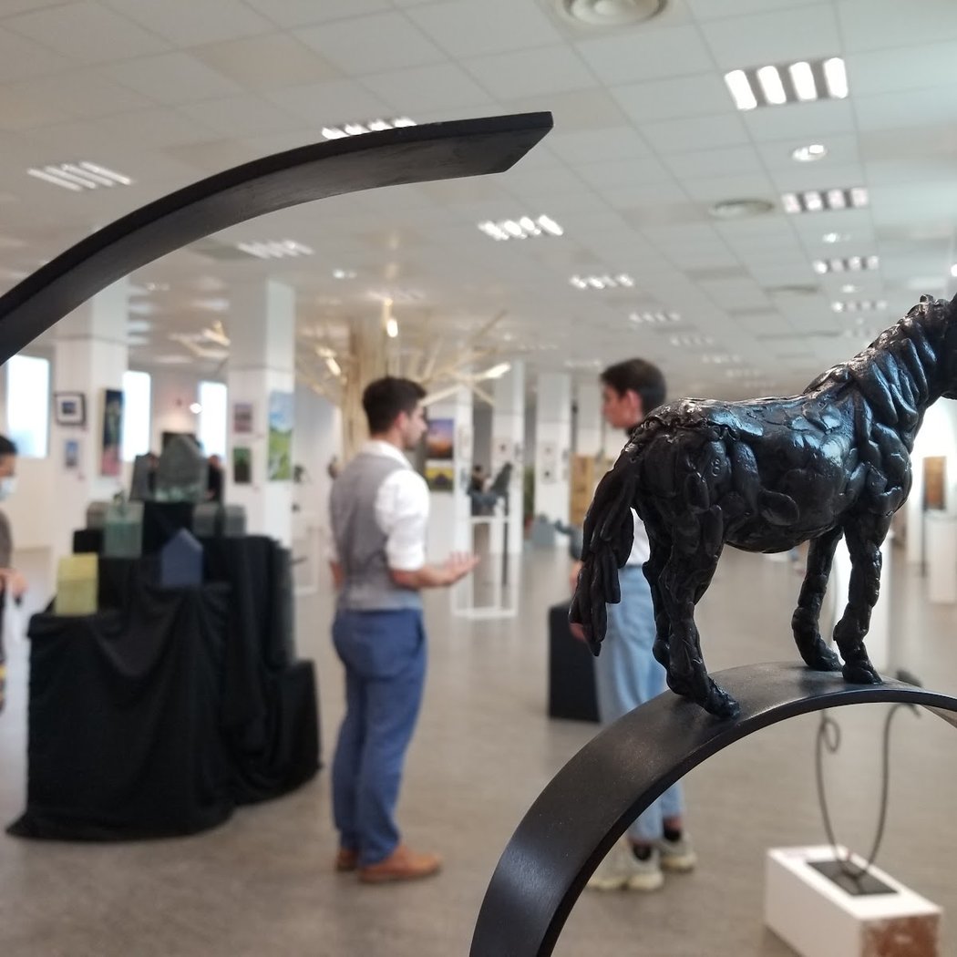 Bourse de collection 3