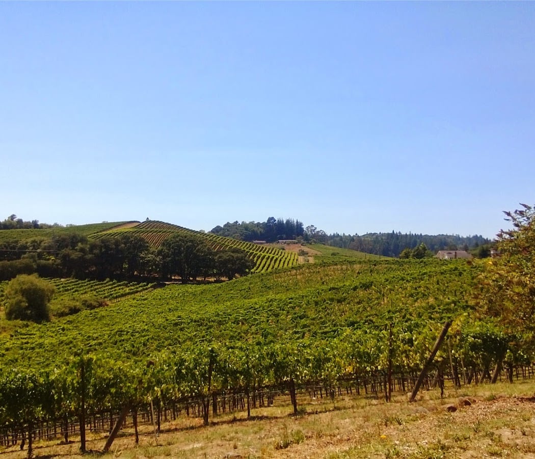 Joseph Swan Vineyards 3
