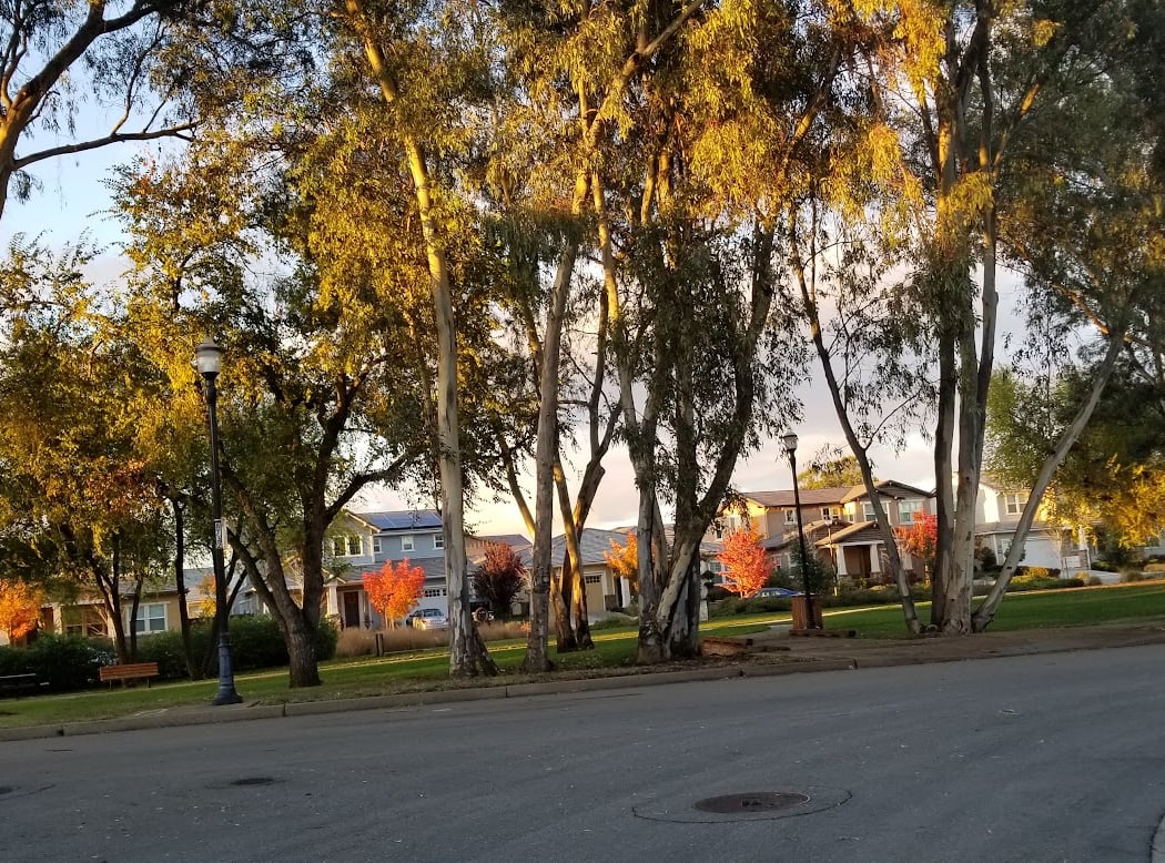 The Grove Park 2