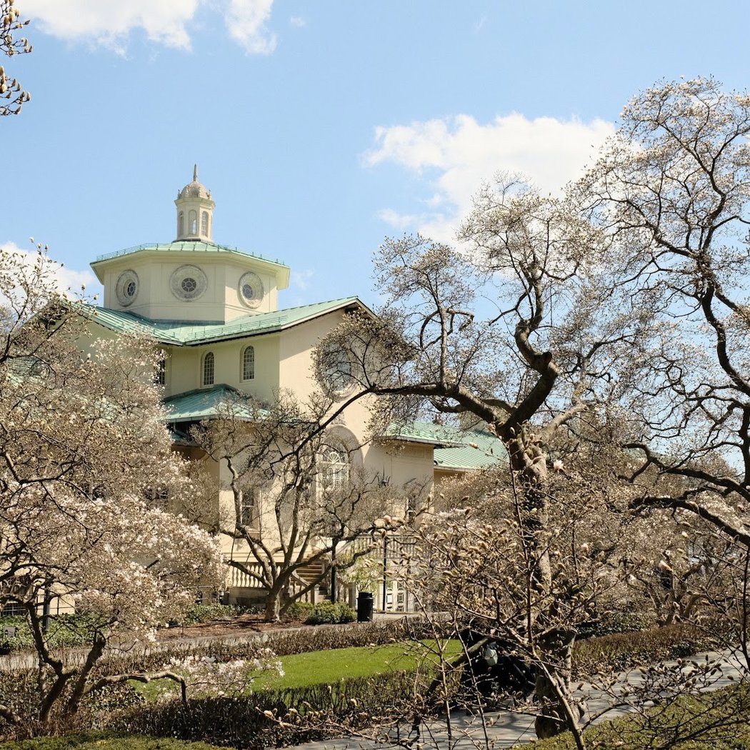 Magnolia Plaza 2