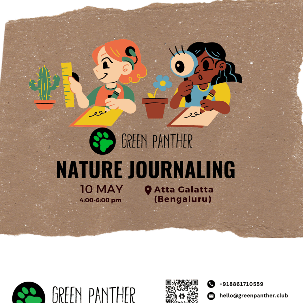 Intro to Nature Journaling – Discover, Observe, Create 1