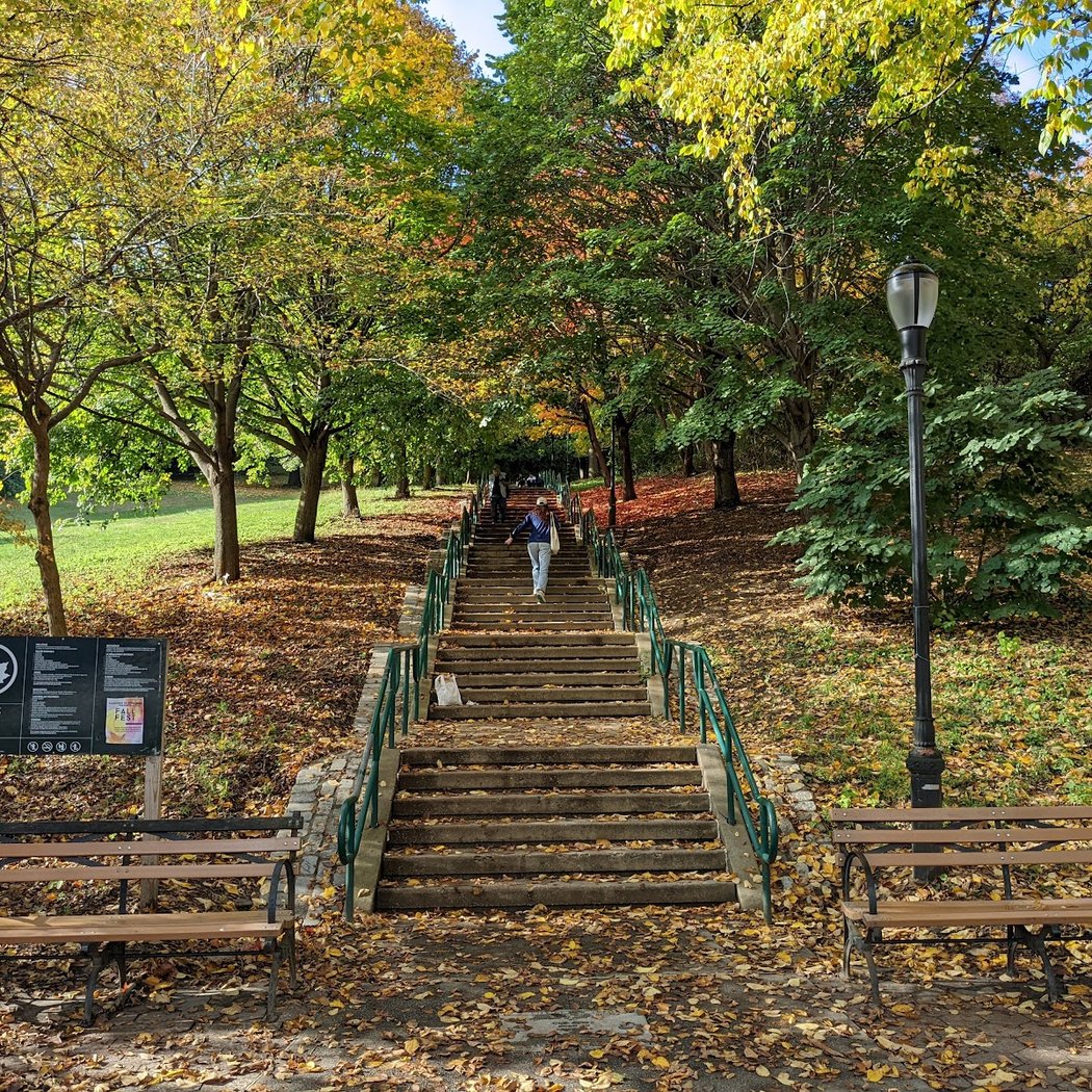 It's My Park at Ewen Park 3