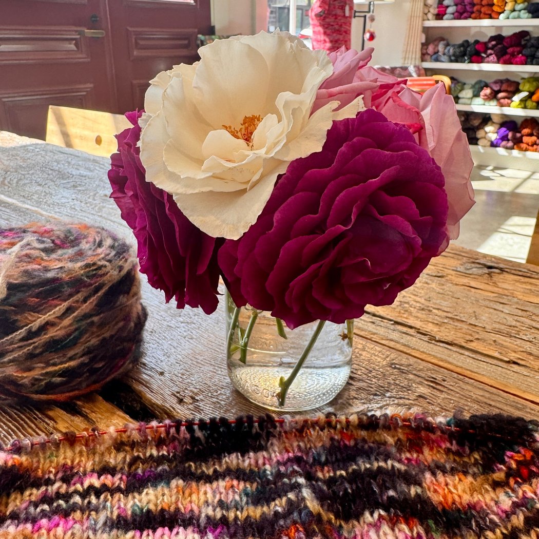 Noma Knits 2