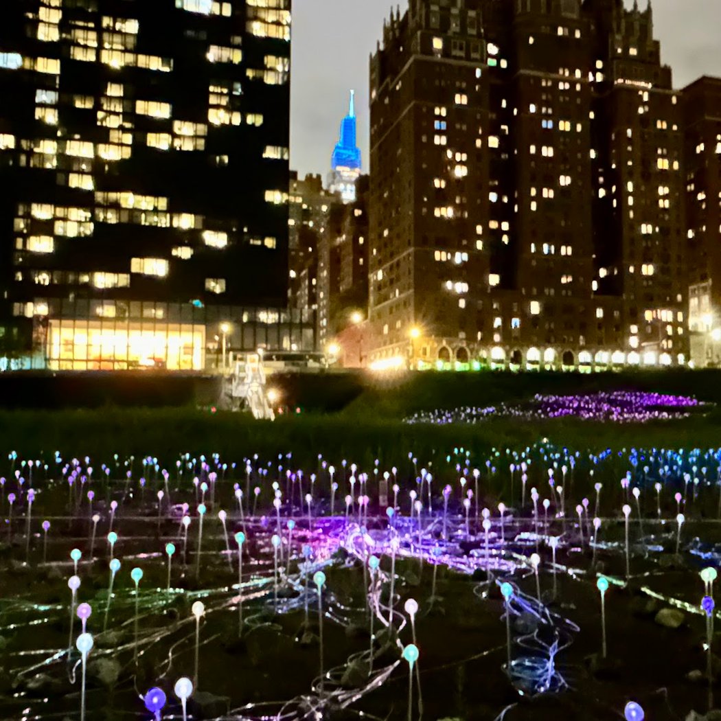 Freedom Plaza 3