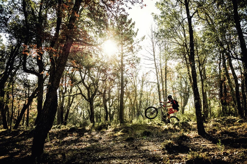 ACTC: TrailRoller - Nisene Marks 1