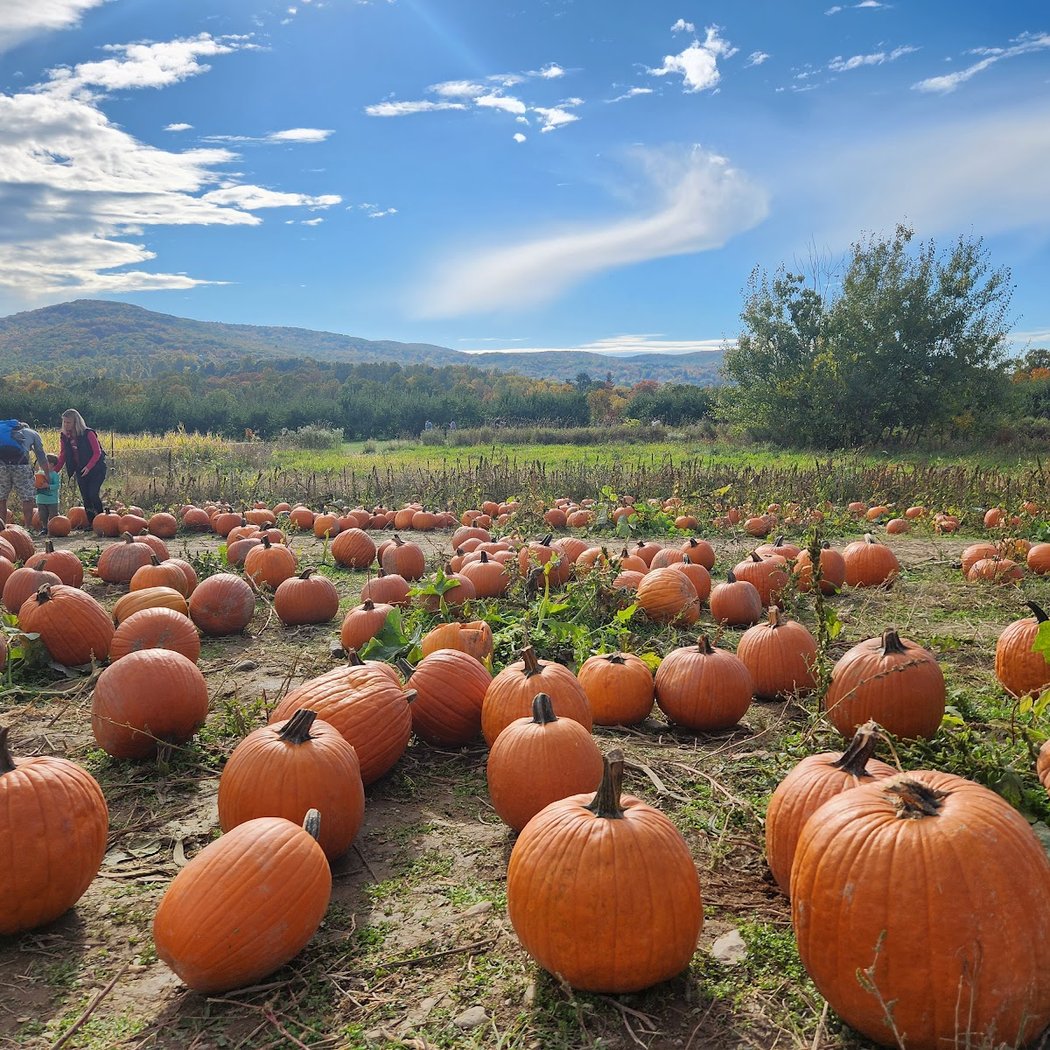 Fall Harvest Festivals 1