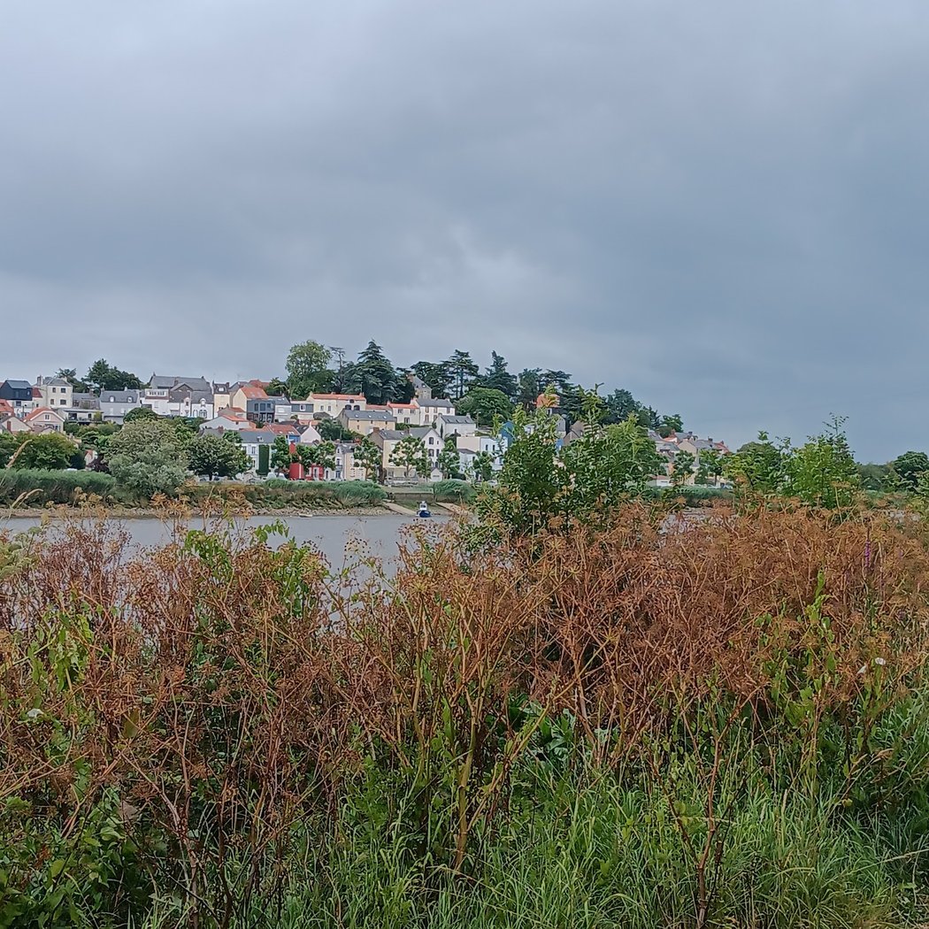 chaussée de robert 2