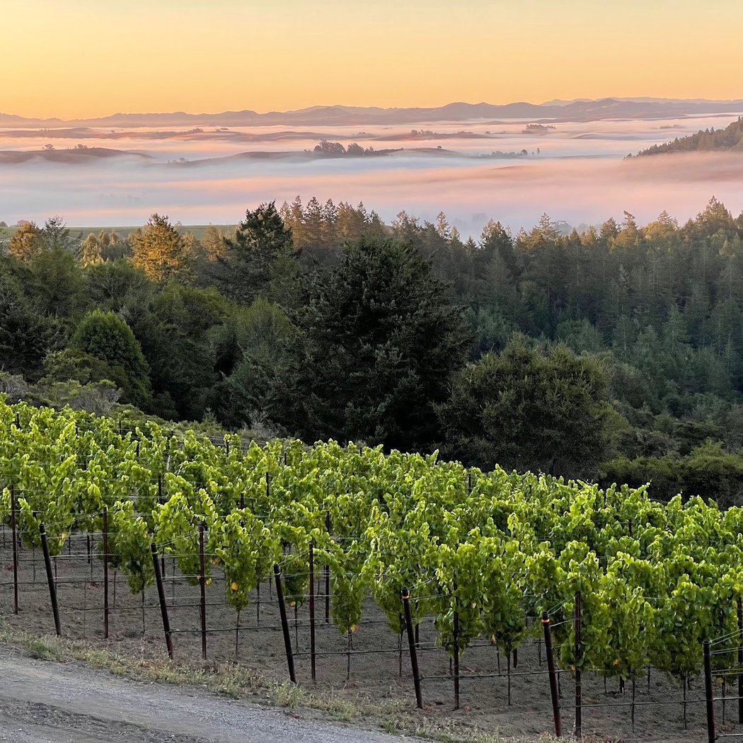 Celebrate a Scandinavian Christmas at the Vineyard 3