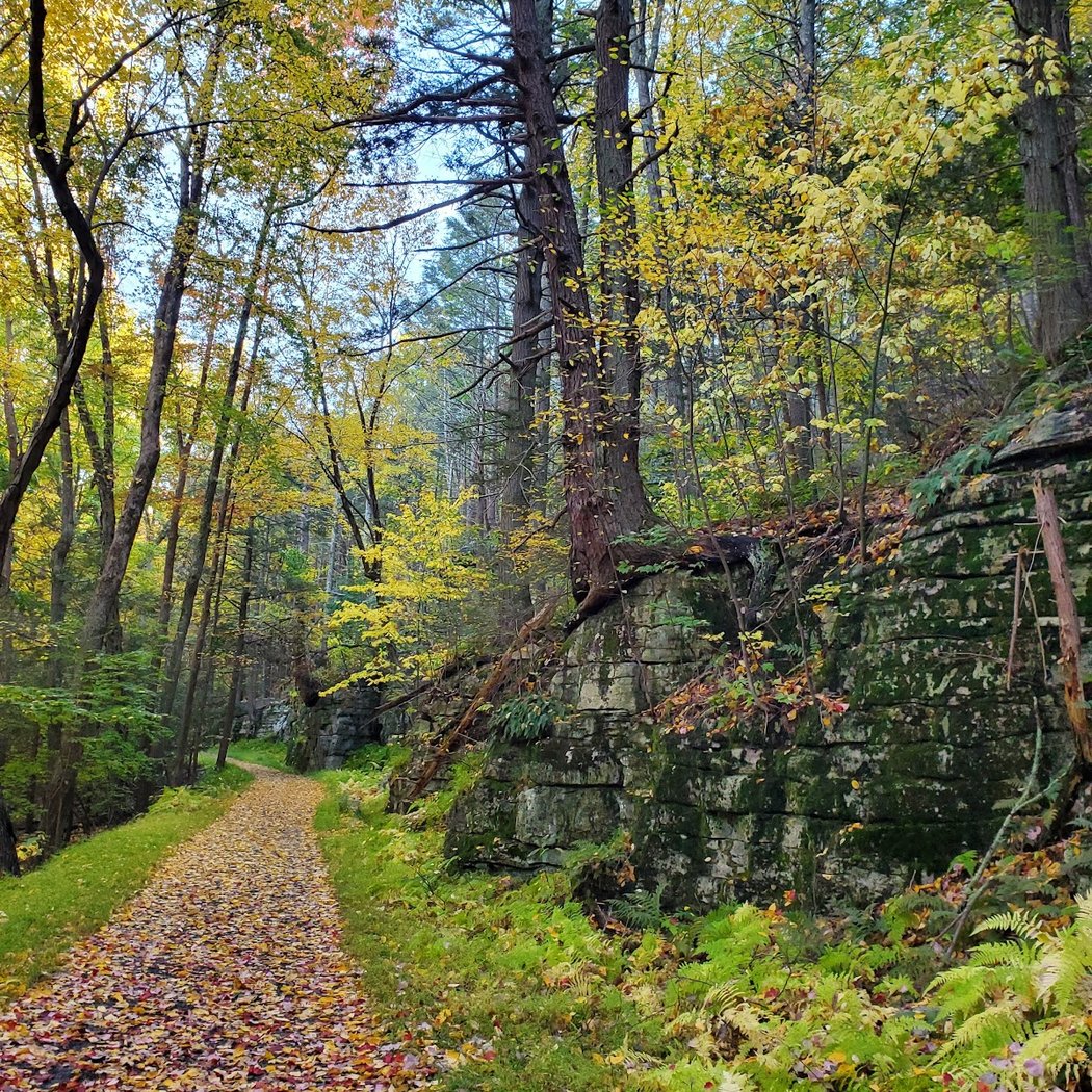 Mohonk Preserve West Trapps Trailhead 1