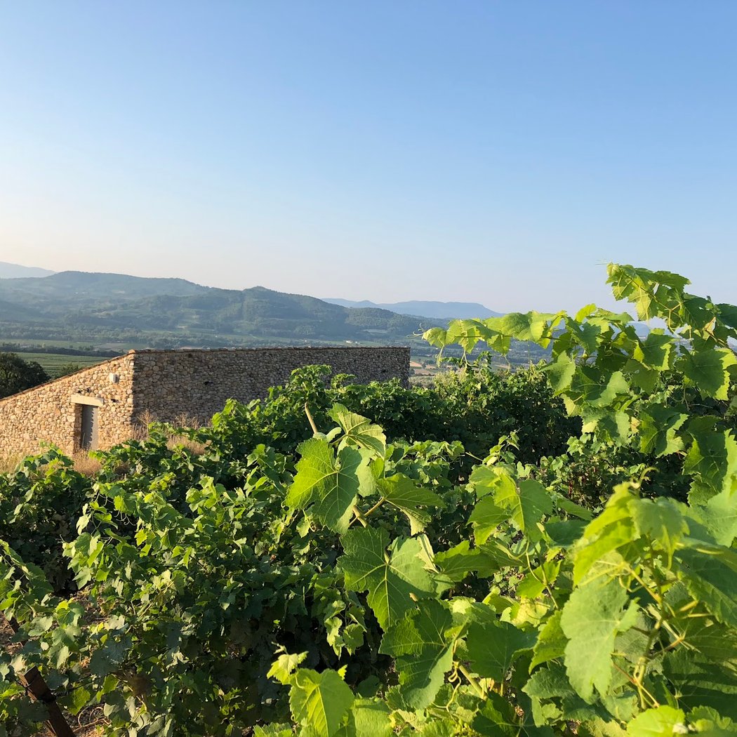 Domaine Serre Besson 2