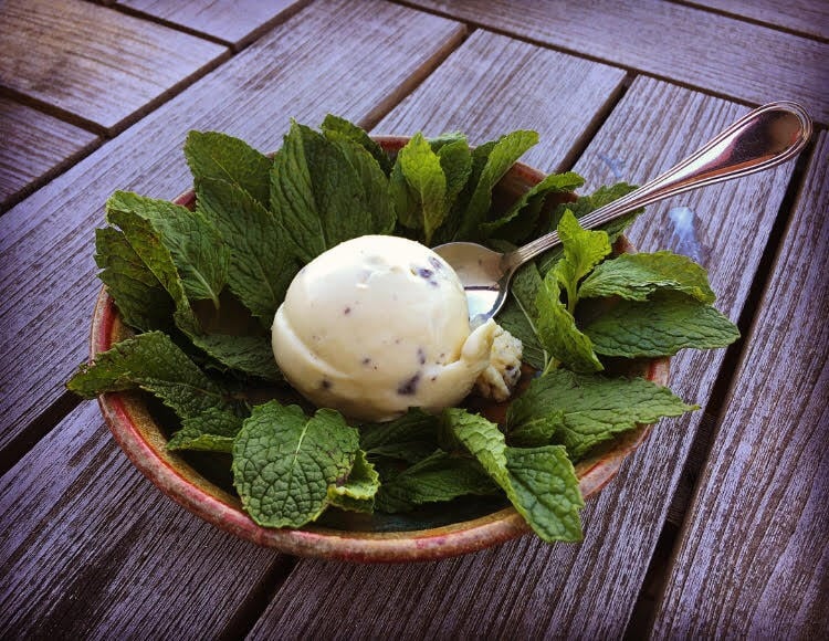 San Francisco's Hometown Creamery 1