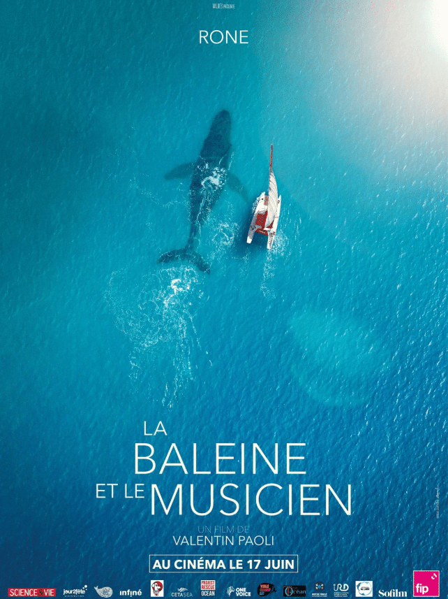 LA BALEINE ET LE MUSICIEN 1