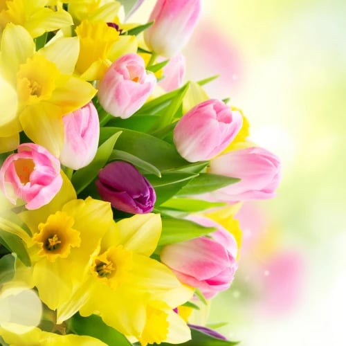 Easter Brunch Buffet 1