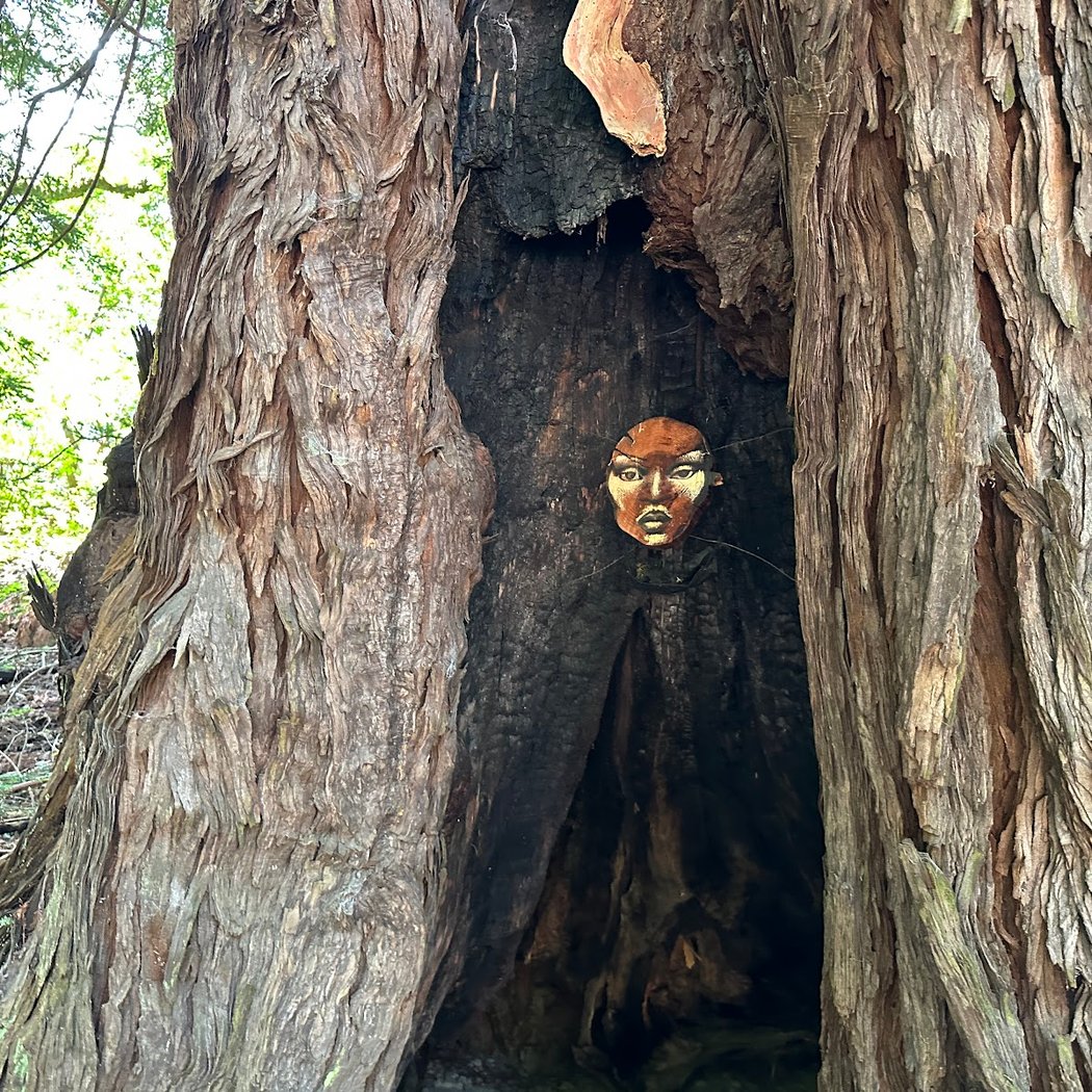 Leonardo@Djerassi Open Studios 3