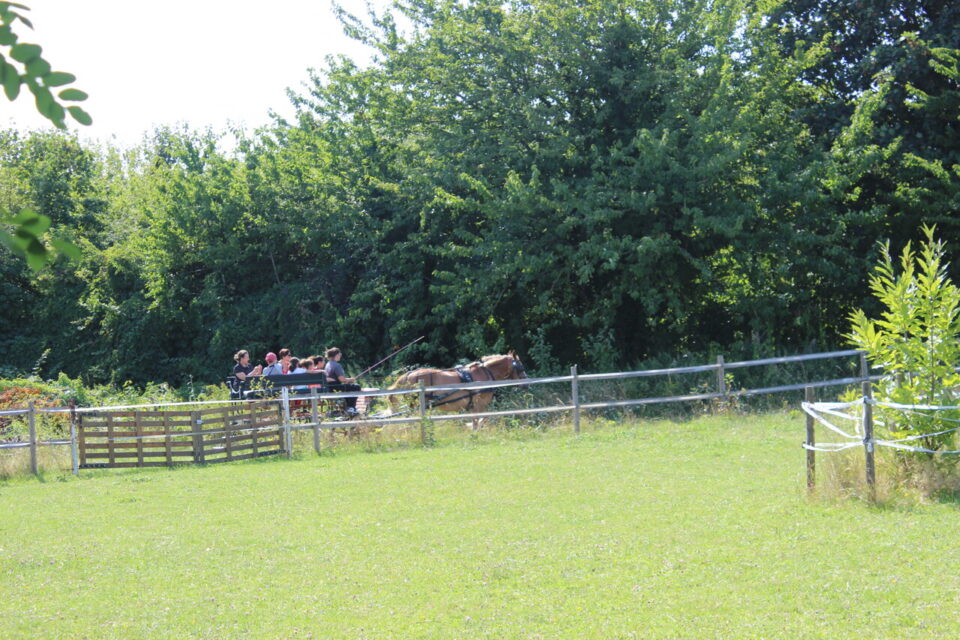 La Ferme du Parc des Meuniers 2