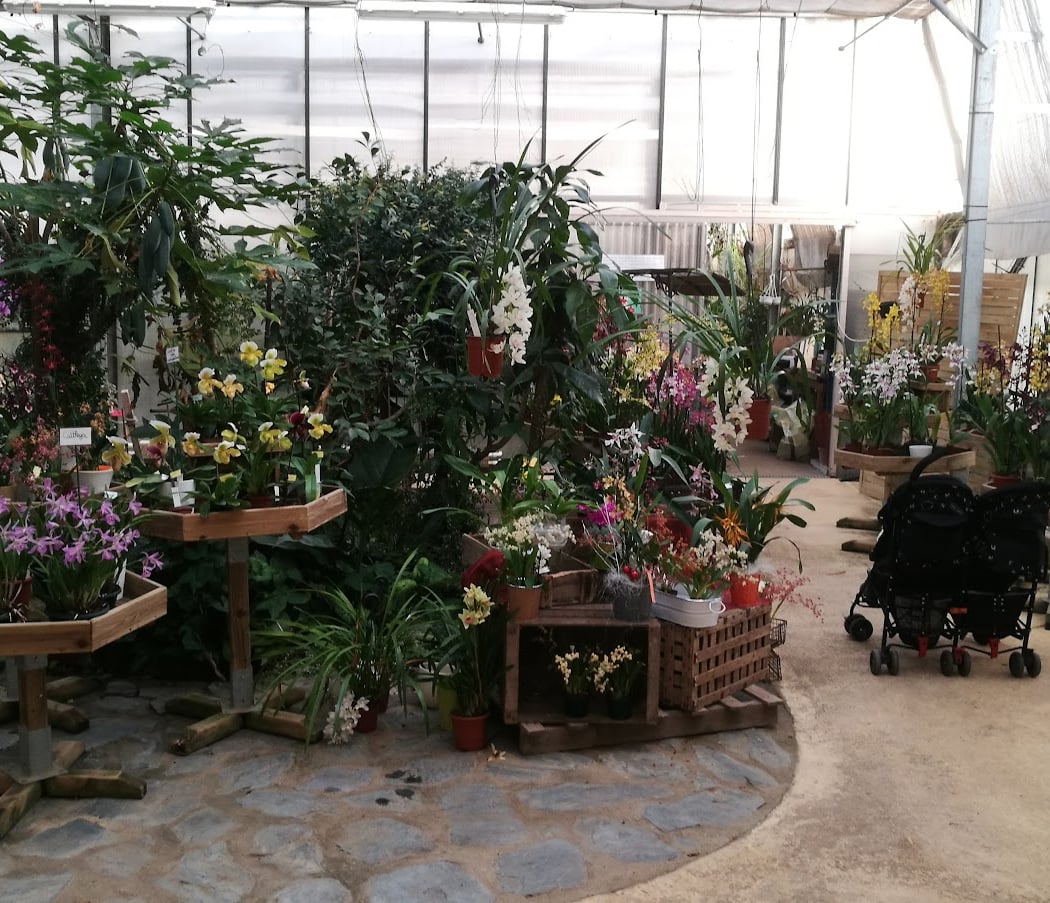 L'Orchidium 2