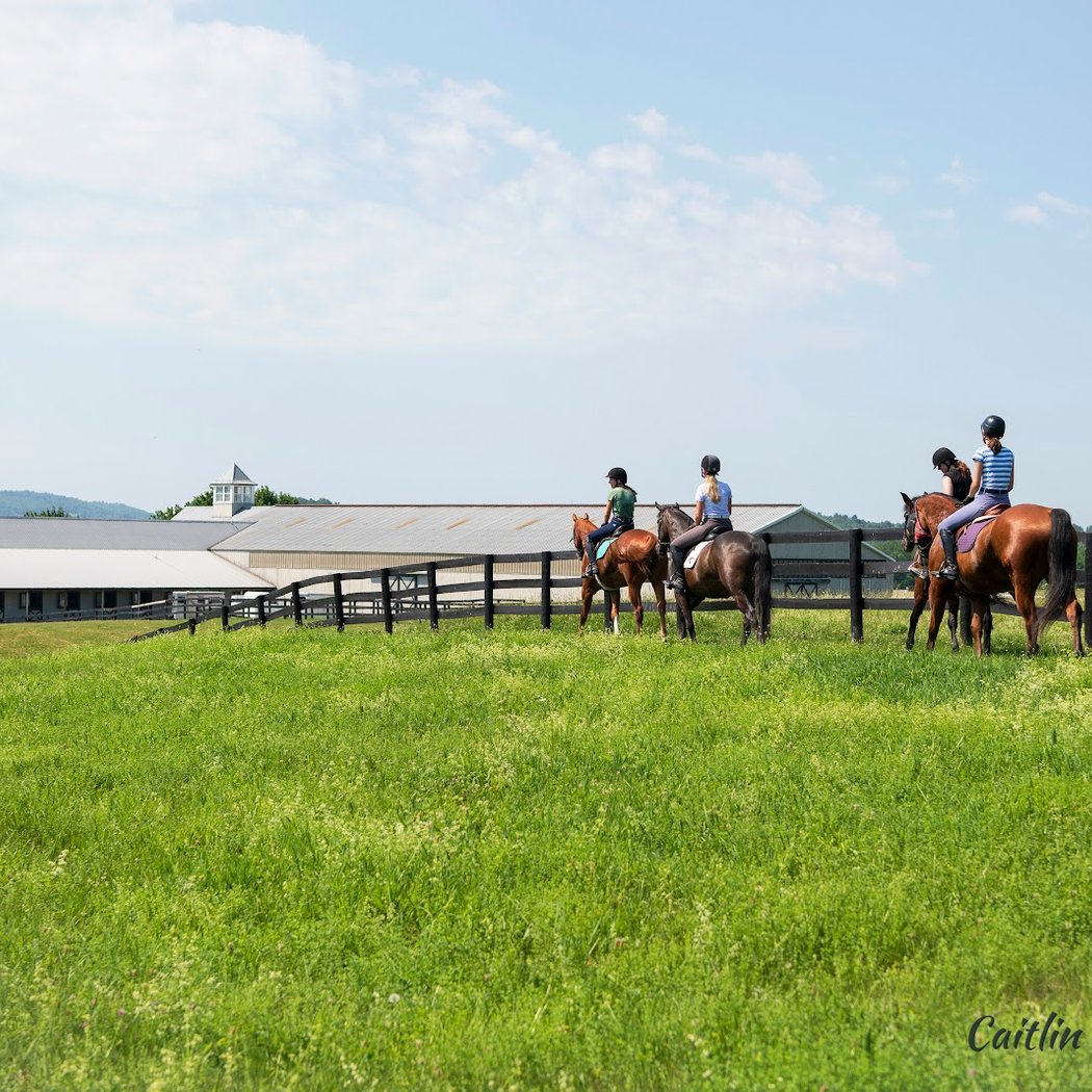 Riga Meadow Equestrian Center LLC 1