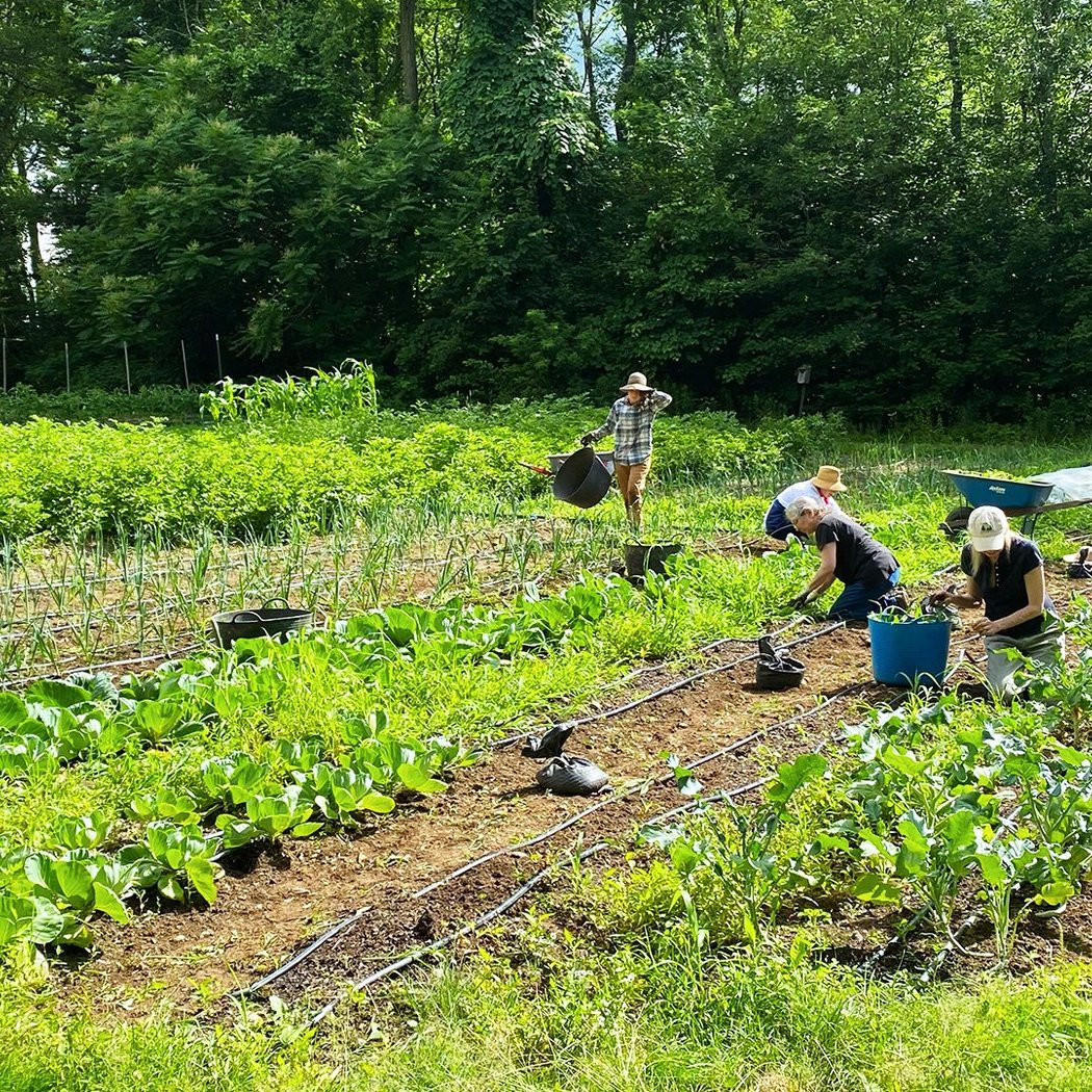 Old Rucker Farm Community Agriculture Volunteer Day