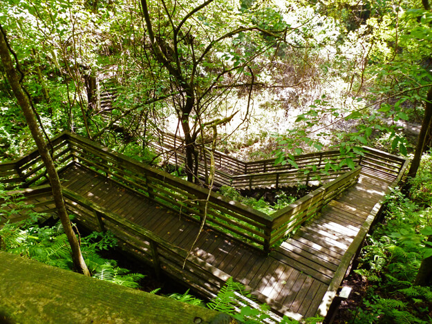 Falling Creek Falls 3